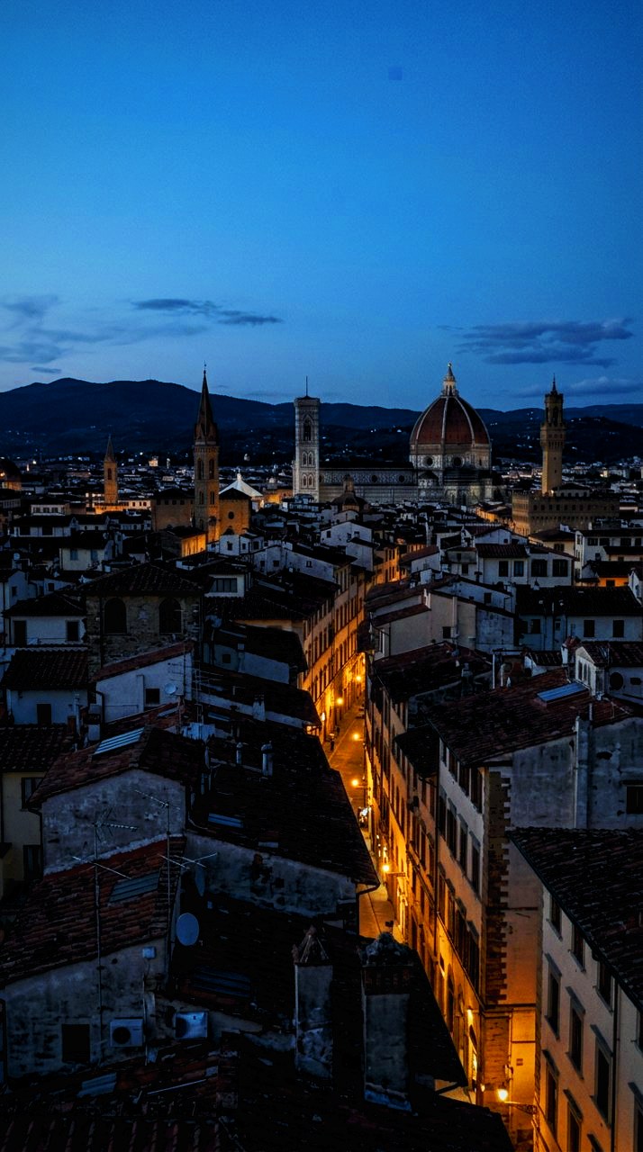 Graded with Night System: The rooftop at dusk: sky deep blue, the first windows just warming, nothing blown.