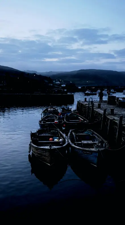 Graded with Night System: Hourly Count on Boats before the harbour wakes, black point held